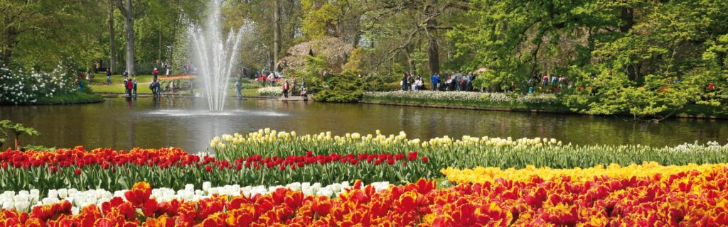 image-©-Keukenhof-Laurens-Lindhout-Rechtenvrij