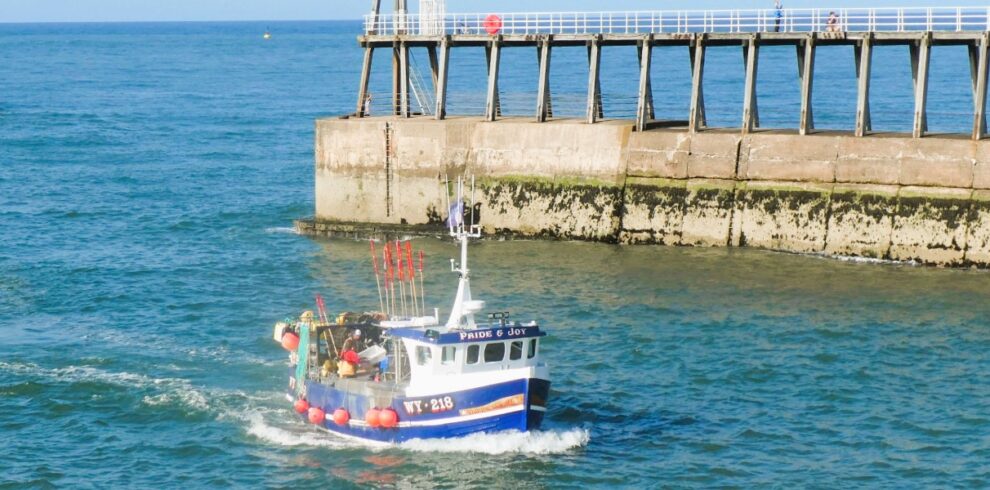 image north yorkshire © vista