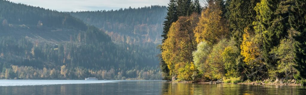 image-©-Hochschwarzwald-Tourismus-GmbH