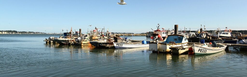 image-©-Poole-Tourism